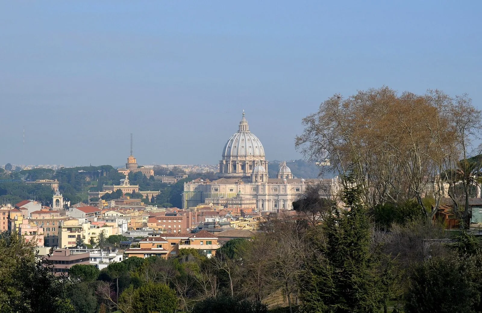 Vista dal Gianicolo sui tetti di Roma con la cupola di San Pietro al centro, alberi in primo piano e cielo azzurro velato